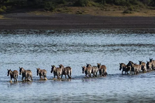 Join 9 Days Serengeti Migration Safari