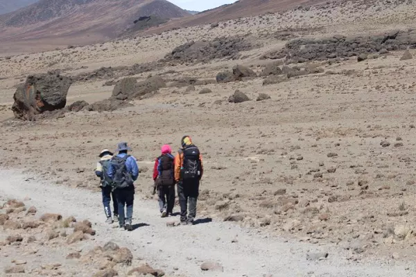 Kilimanjaro 6 Days Marangu Route Trekking