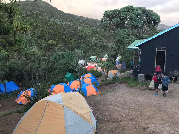 Kilimanjaro 7 Days Lemosho Route Trekking