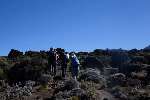 Kilimanjaro 9 Days Lemosho Route Trekking